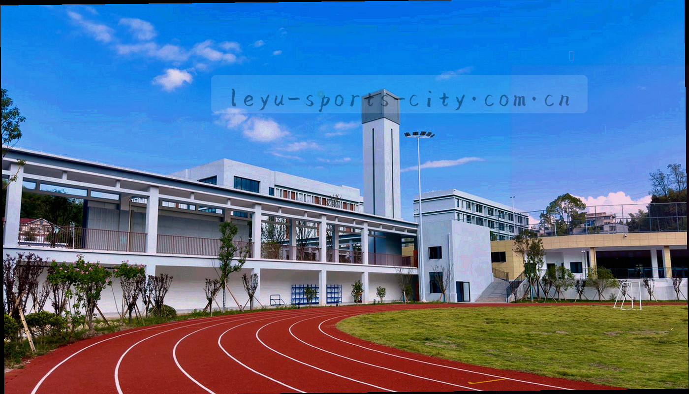城市夜空下的球场灯带与看台人群剪影